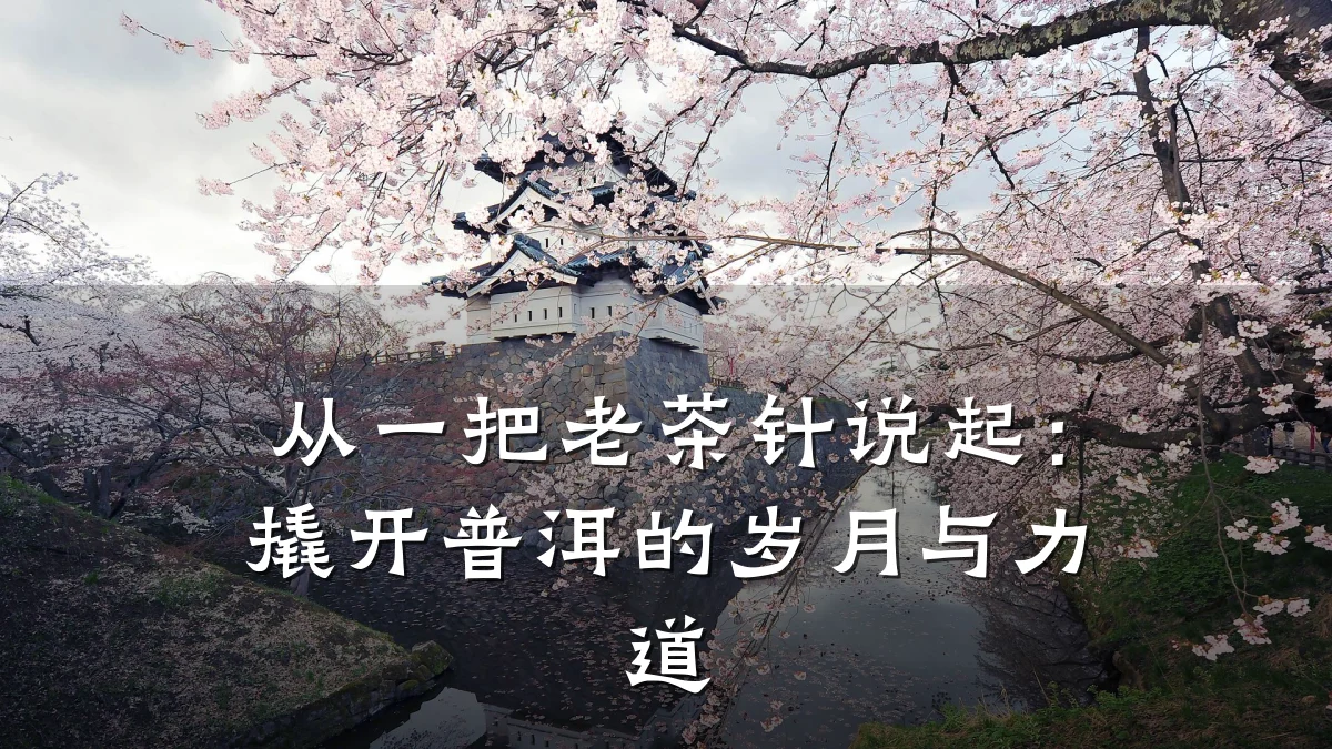 从一把老茶针说起：撬开普洱的岁月与力道