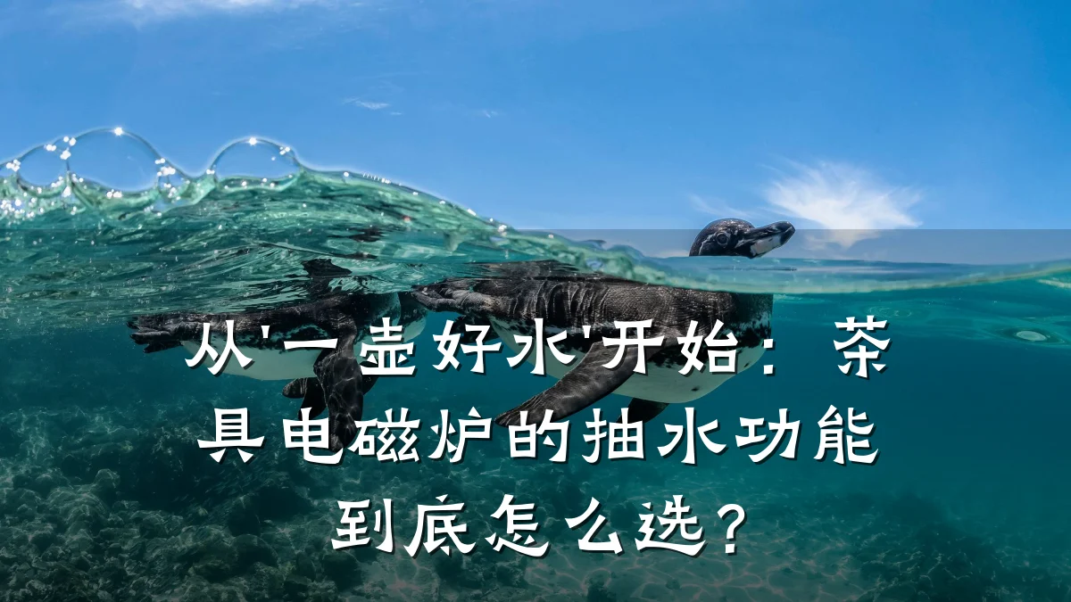 从'一壶好水'开始:茶具电磁炉的抽水功能到底怎么选?