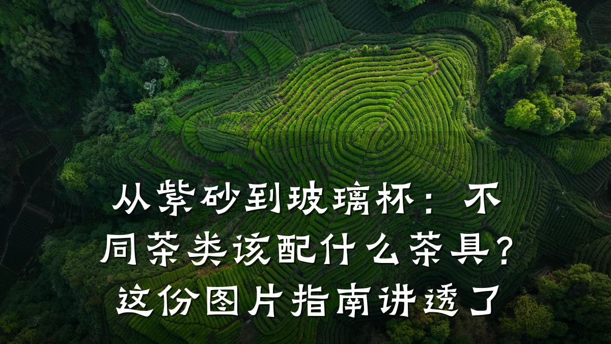 从紫砂到玻璃杯:不同茶类该配什么茶具?这份图片指南讲透了