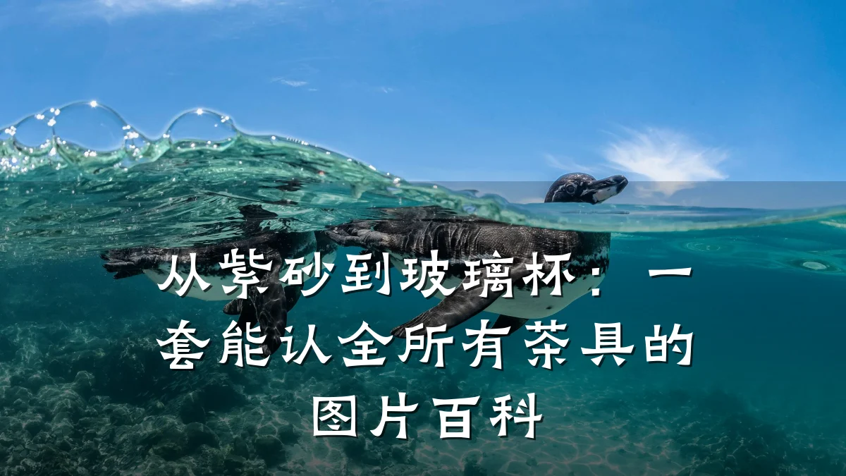 从紫砂到玻璃杯:一套能认全所有茶具的图片百科