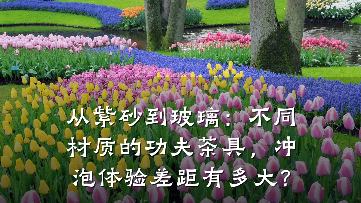 从紫砂到玻璃:不同材质的功夫茶具,冲泡体验差距有多大?