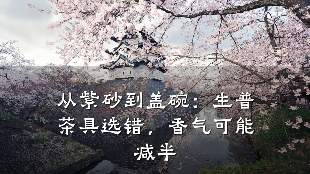 从紫砂到盖碗：生普茶具选错，香气可能减半