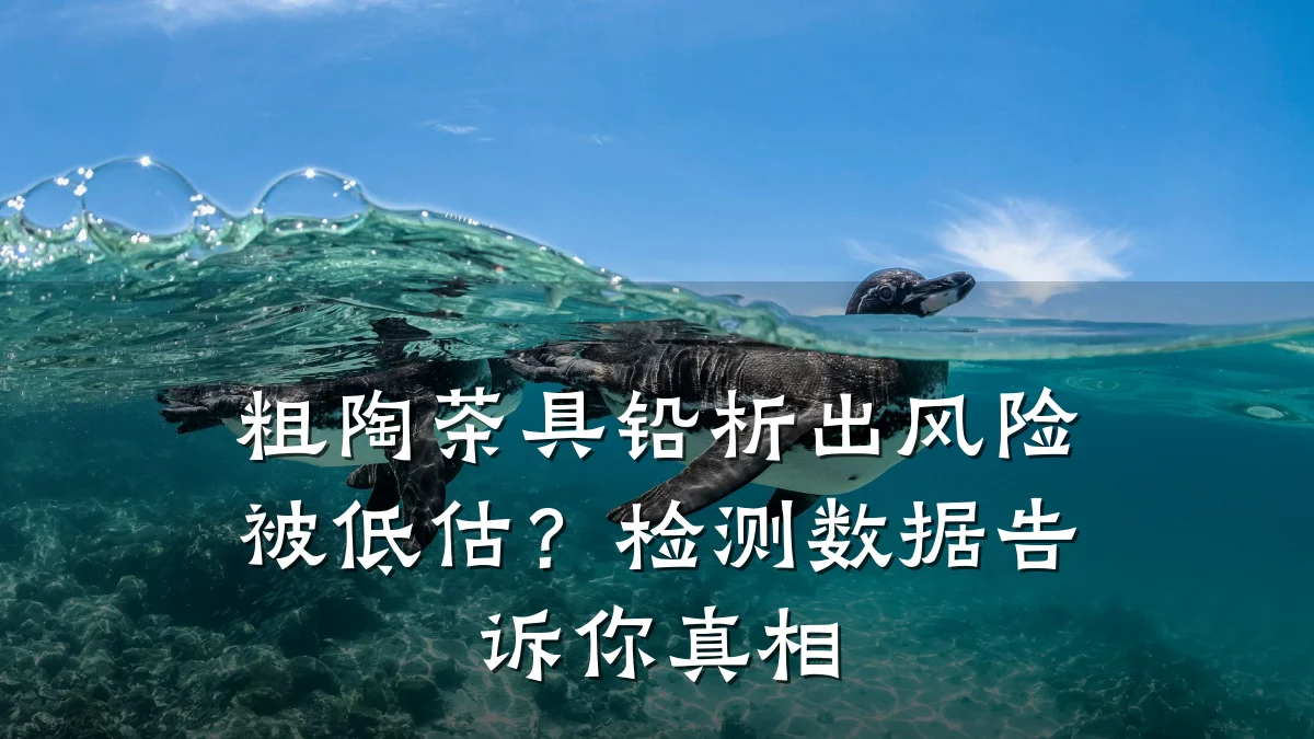粗陶茶具铅析出风险被低估?检测数据告诉你真相