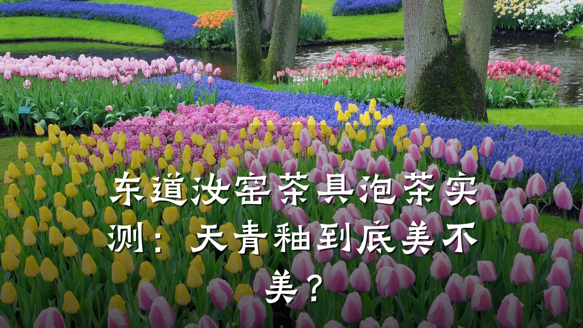 东道汝窑茶具泡茶实测:天青釉到底美不美?