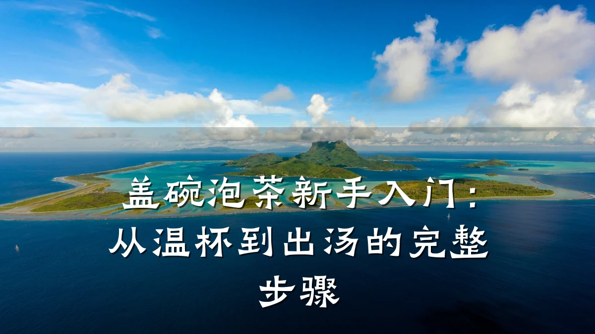 盖碗泡茶新手入门：从温杯到出汤的完整步骤