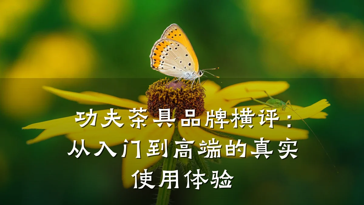 功夫茶具品牌横评:从入门到高端的真实使用体验