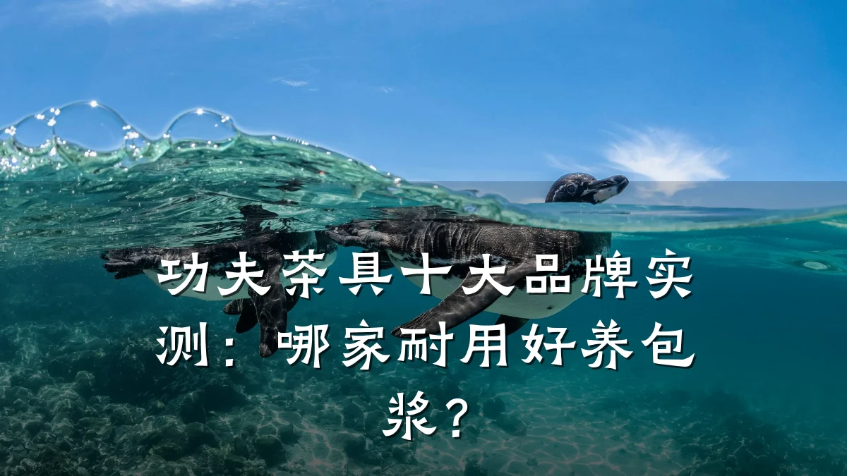 功夫茶具十大品牌实测:哪家耐用好养包浆?