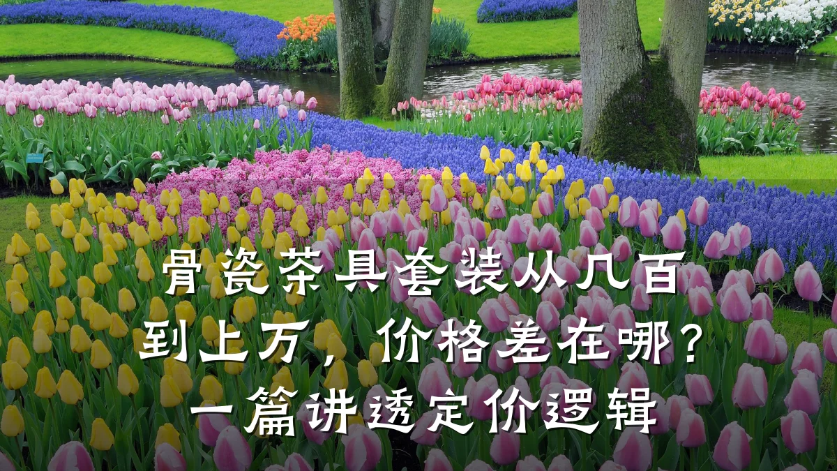 骨瓷茶具套装从几百到上万，价格差在哪？一篇讲透定价逻辑