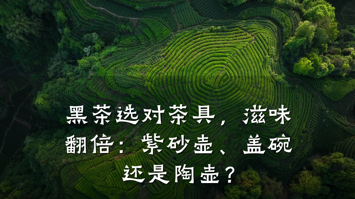 黑茶选对茶具,滋味翻倍:紫砂壶、盖碗还是陶壶?