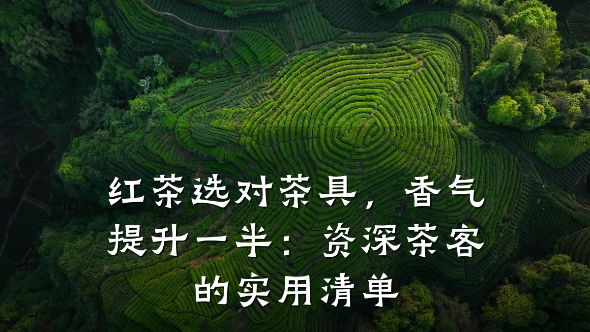 红茶选对茶具,香气提升一半:资深茶客的实用清单