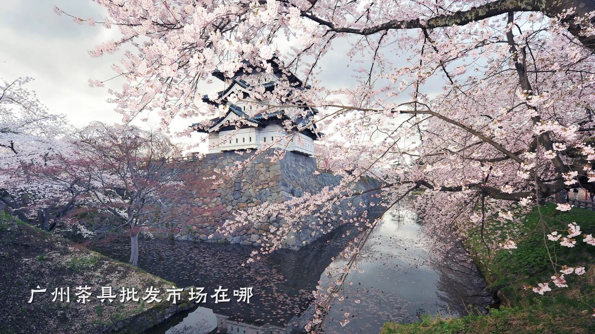 广州茶具批发市场在哪