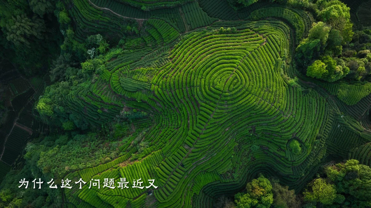 为什么这个问题最近又