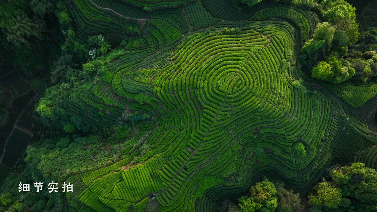 细节实拍