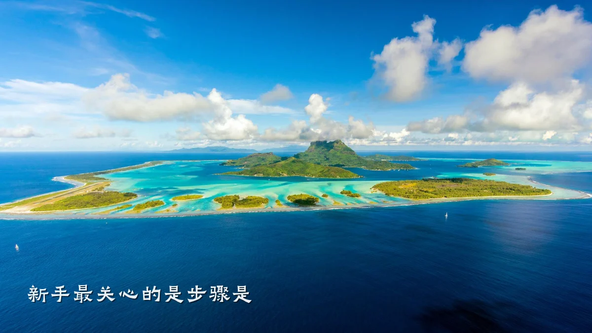 新手最关心的是步骤是
