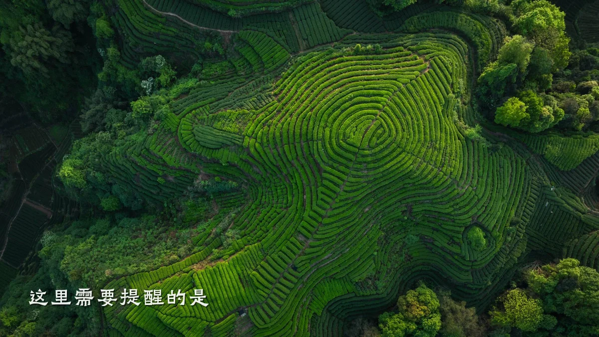 这里需要提醒的是