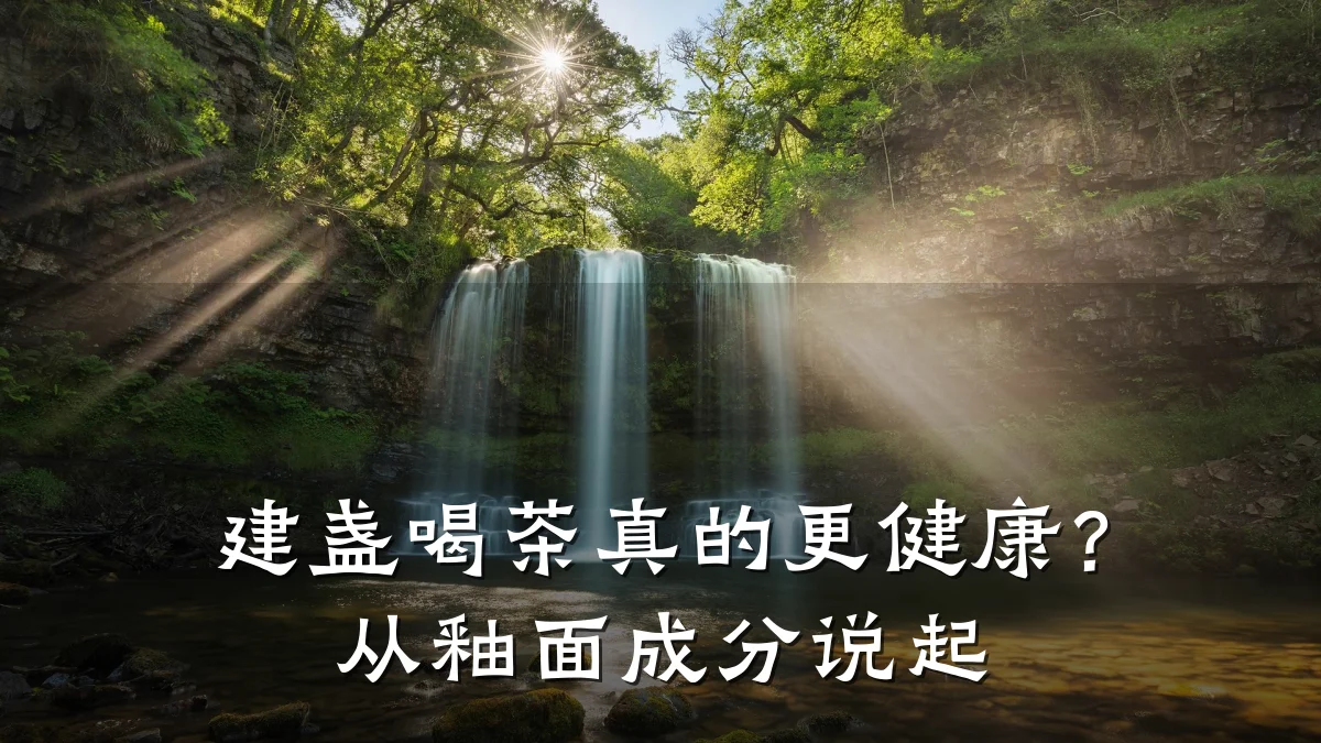 建盏喝茶真的更健康？从釉面成分说起