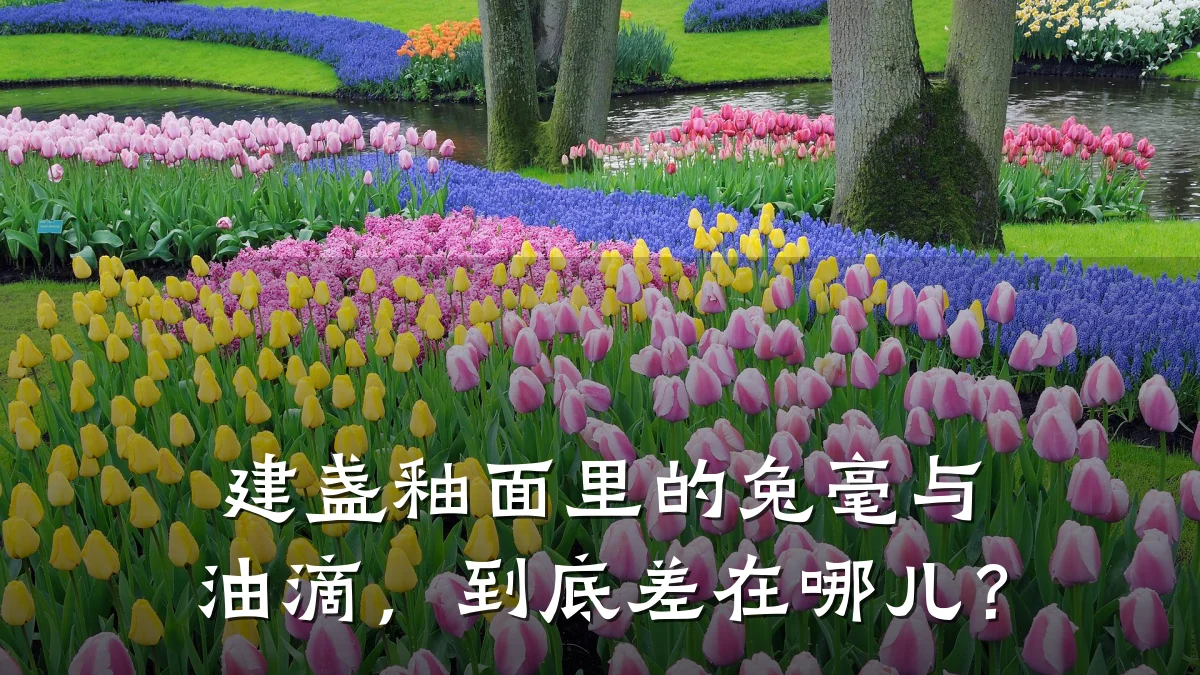 建盏釉面里的兔毫与油滴,到底差在哪儿?
