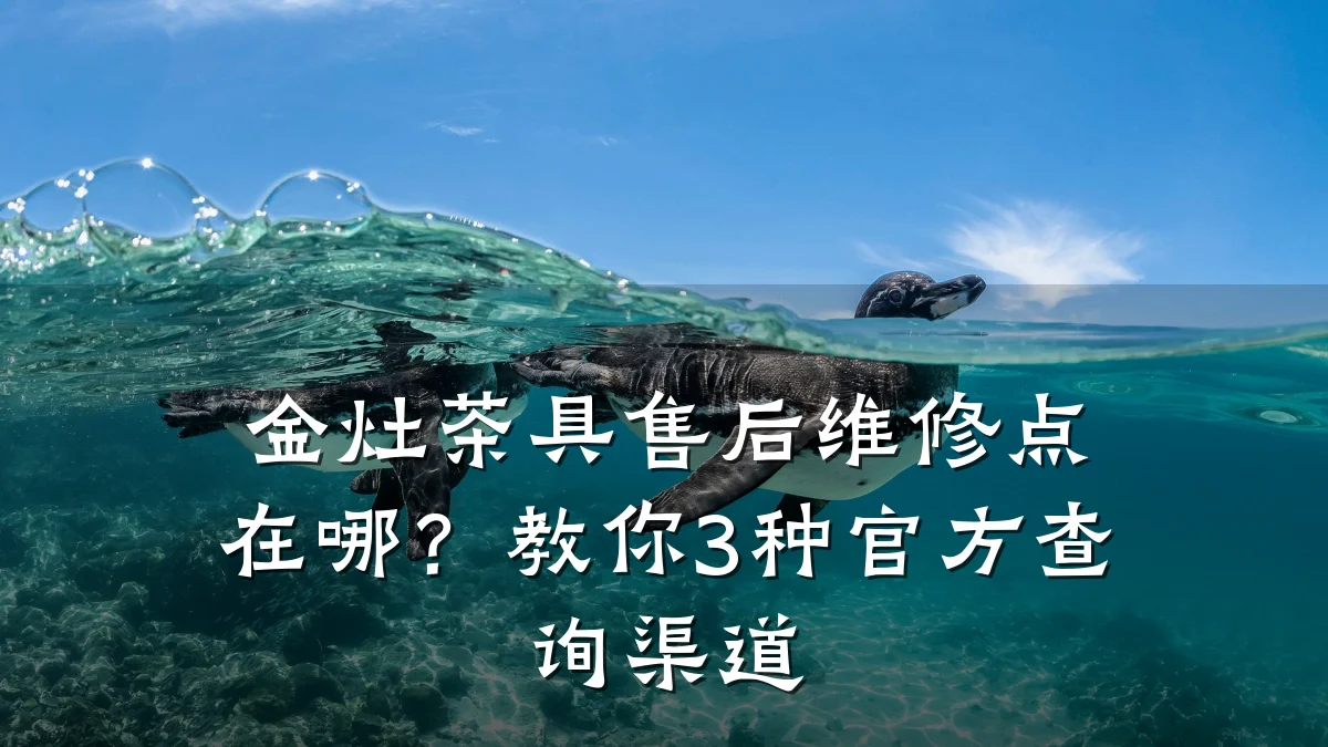 金灶茶具售后维修点在哪?教你3种官方查询渠道