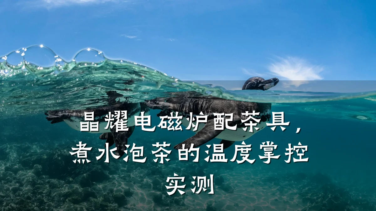 晶耀电磁炉配茶具，煮水泡茶的温度掌控实测