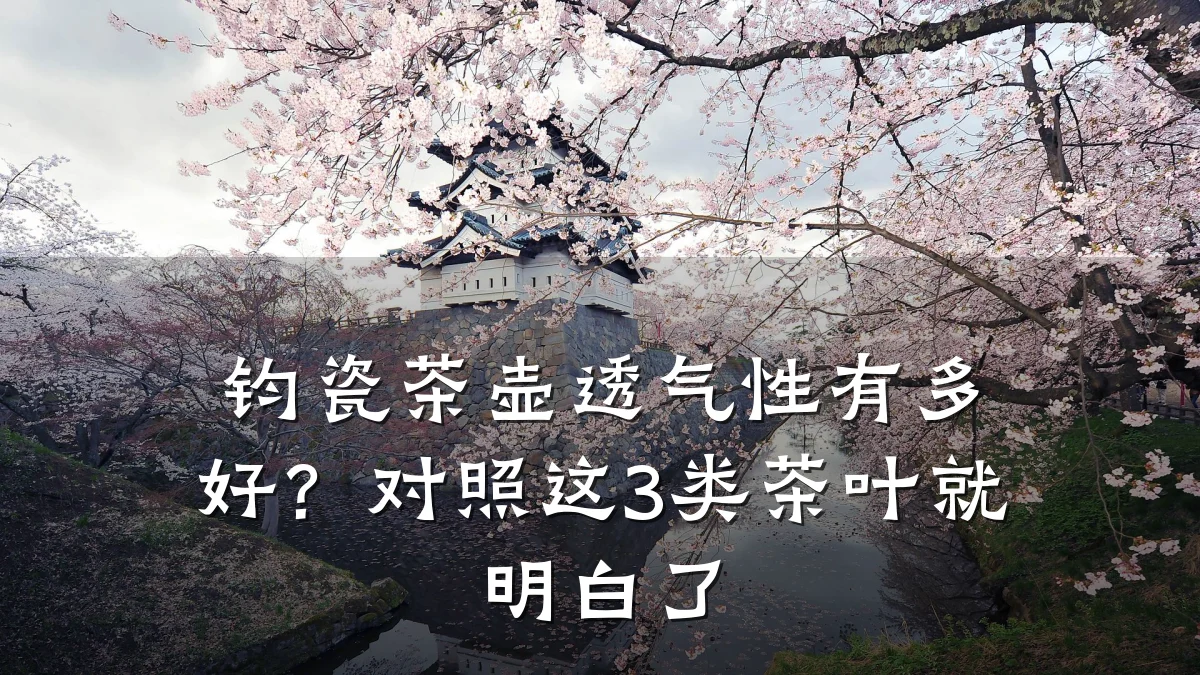 钧瓷茶壶透气性有多好?对照这3类茶叶就明白了