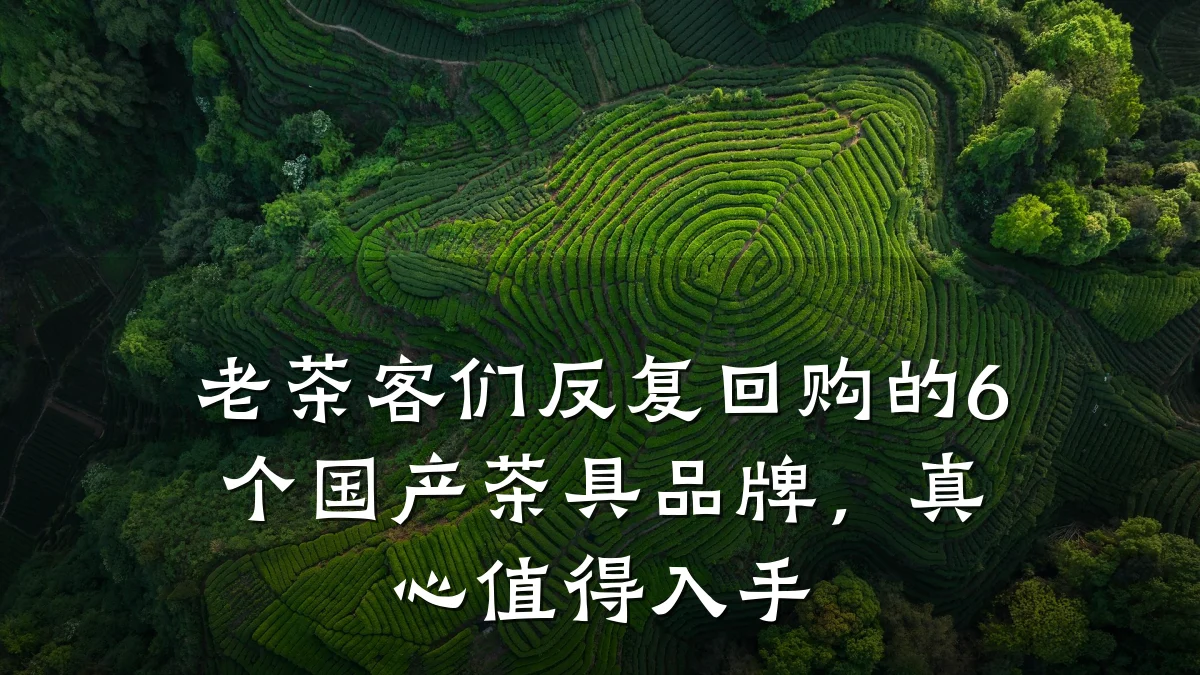 老茶客们反复回购的6个国产茶具品牌，真心值得入手