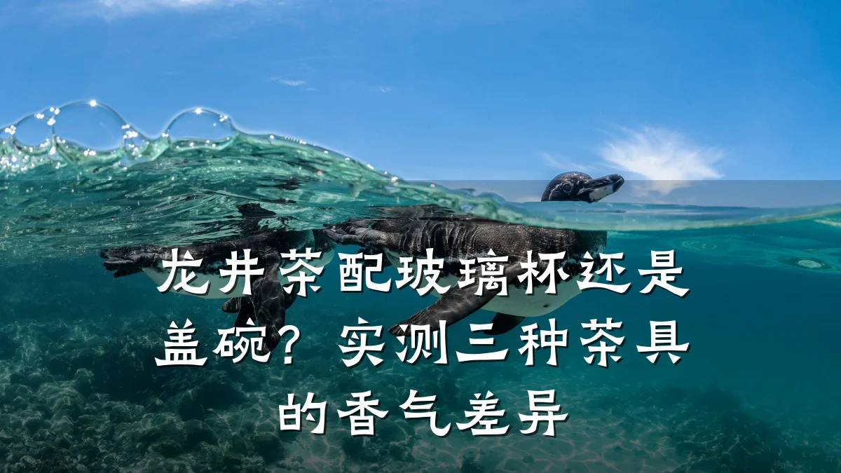 龙井茶配玻璃杯还是盖碗?实测三种茶具的香气差异