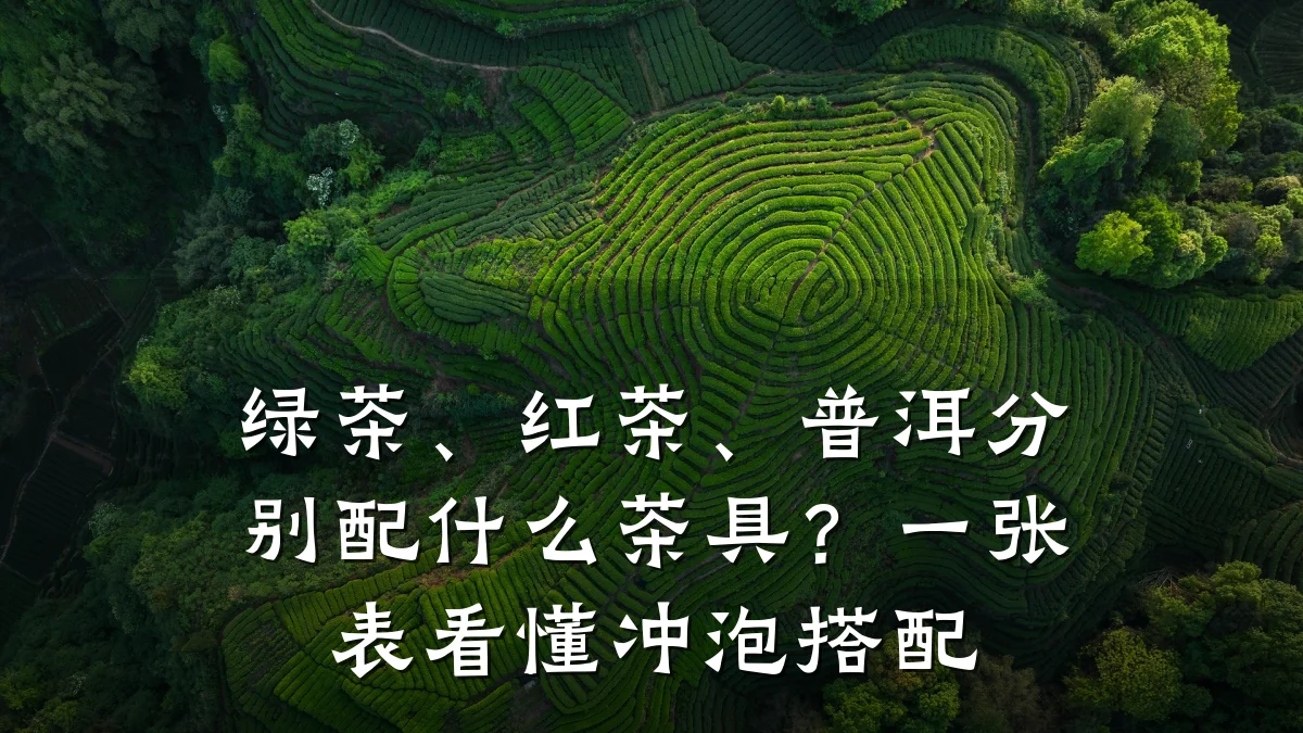 绿茶、红茶、普洱分别配什么茶具?一张表看懂冲泡搭配