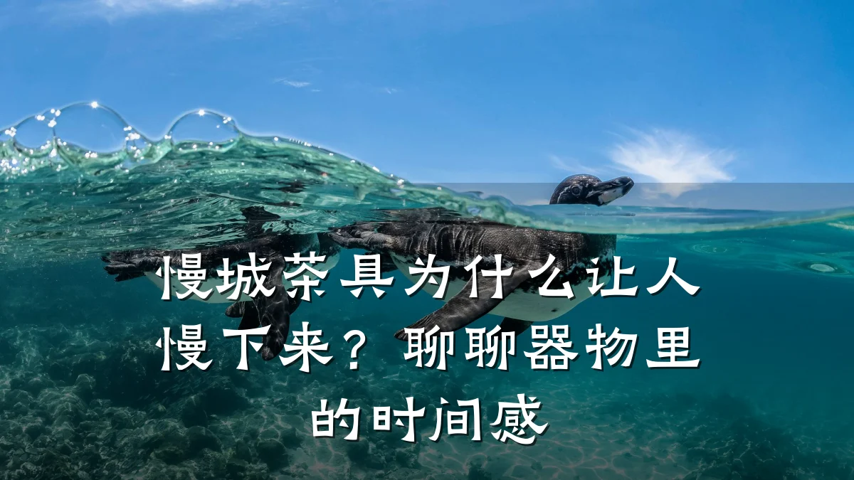 慢城茶具为什么让人慢下来？聊聊器物里的时间感