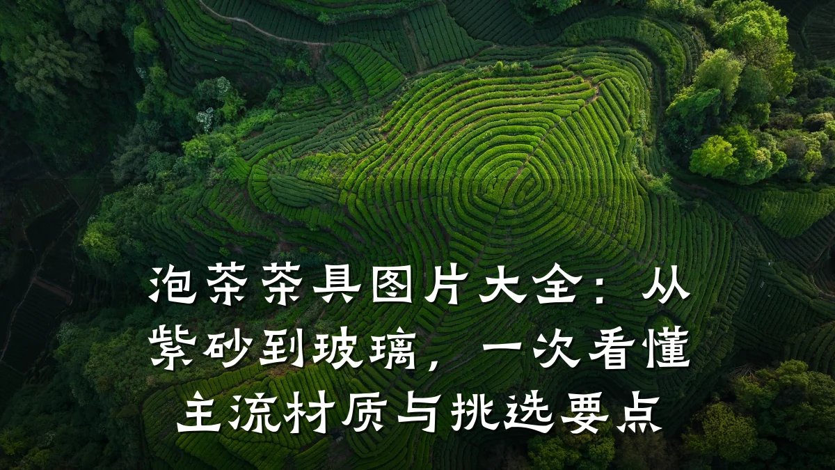 泡茶茶具图片大全:从紫砂到玻璃,一次看懂主流材质与挑选要点