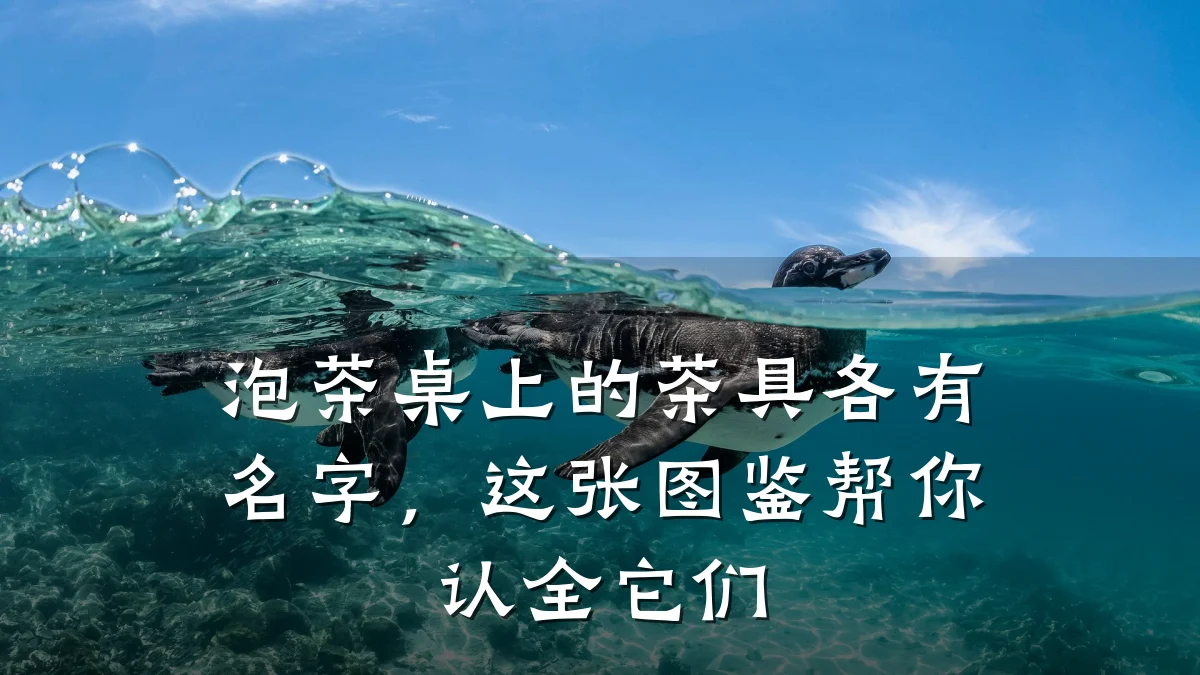 泡茶桌上的茶具各有名字,这张图鉴帮你认全它们