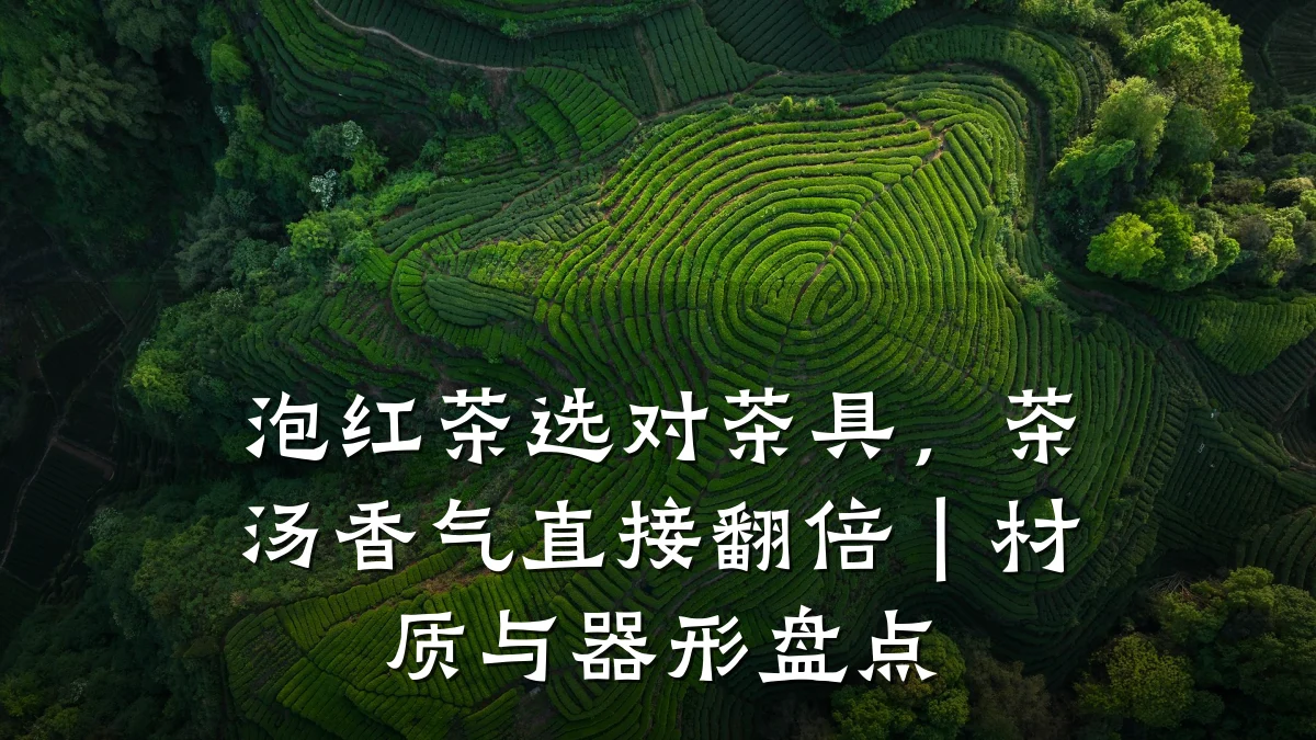 泡红茶选对茶具,茶汤香气直接翻倍|材质与器形盘点