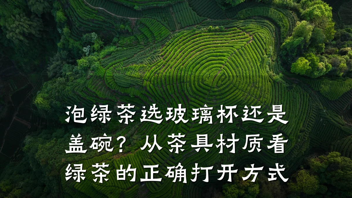 泡绿茶选玻璃杯还是盖碗?从茶具材质看绿茶的正确打开方式