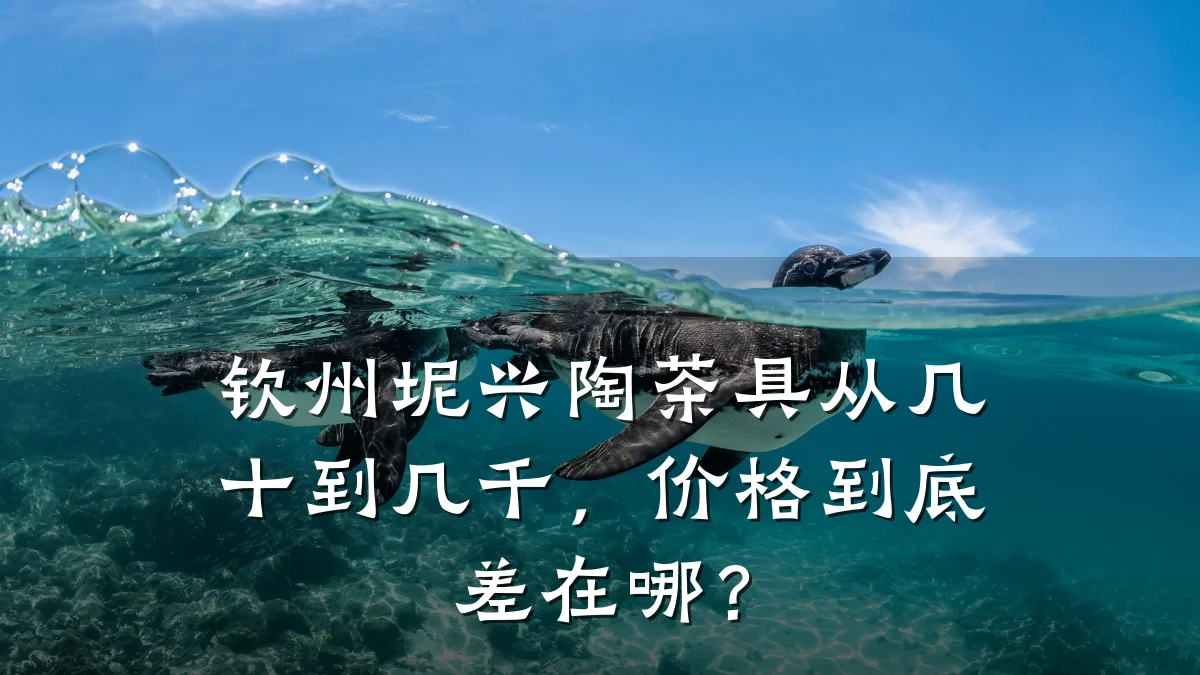 钦州坭兴陶茶具从几十到几千,价格到底差在哪?