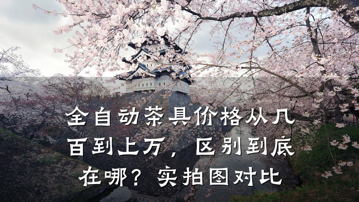 全自动茶具价格从几百到上万,区别到底在哪?实拍图对比