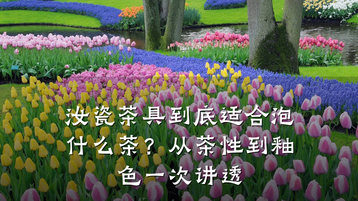 汝瓷茶具到底适合泡什么茶?从茶性到釉色一次讲透