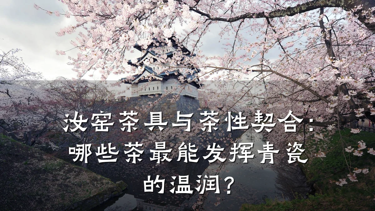 汝窑茶具与茶性契合:哪些茶最能发挥青瓷的温润?
