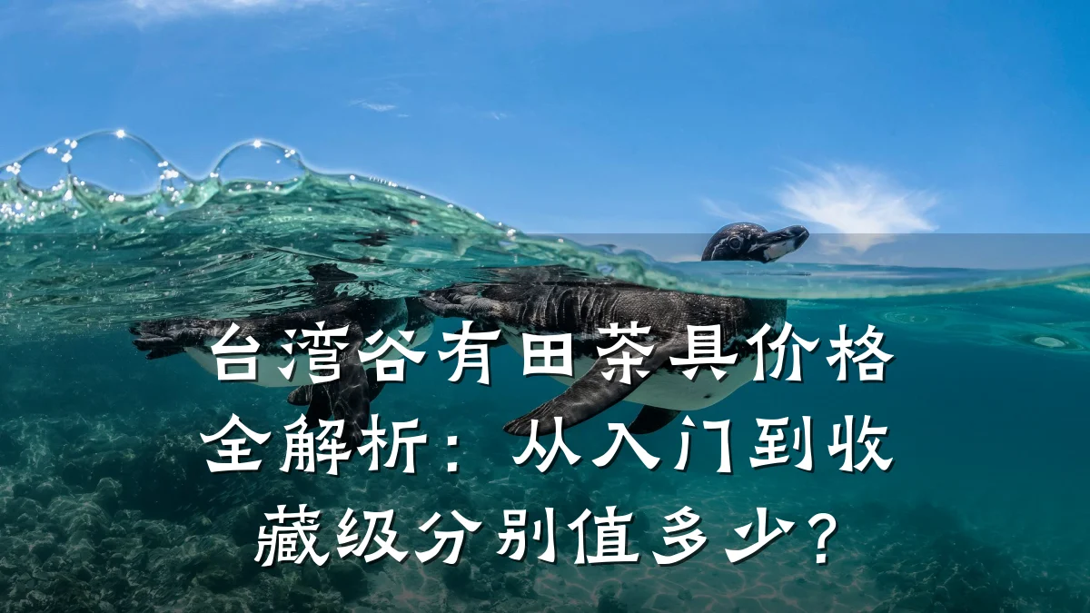 台湾谷有田茶具价格全解析:从入门到收藏级分别值多少?