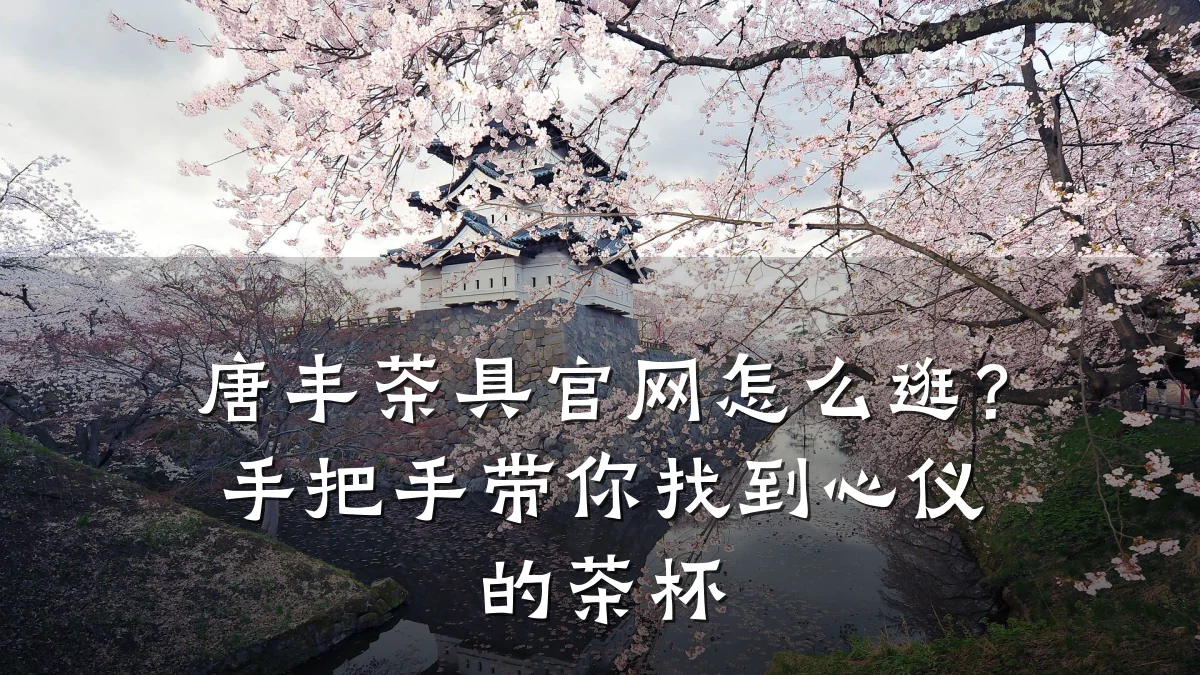 唐丰茶具官网怎么逛?手把手带你找到心仪的茶杯