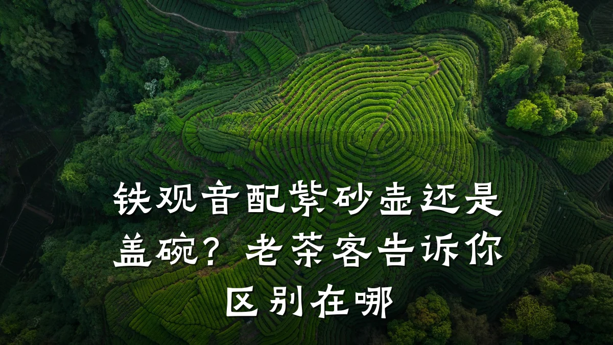铁观音配紫砂壶还是盖碗?老茶客告诉你区别在哪