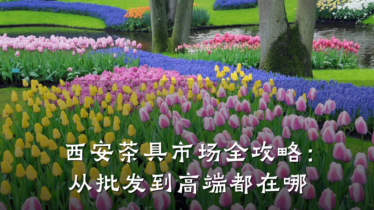 西安茶具市场全攻略:从批发到高端都在哪