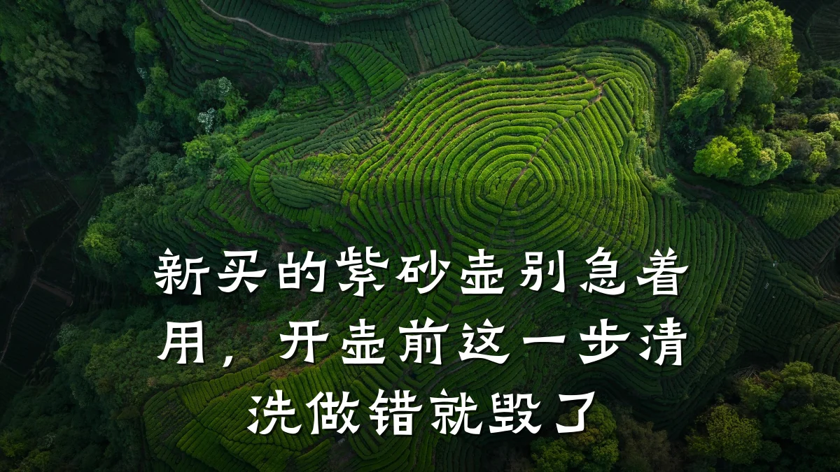 新买的紫砂壶别急着用，开壶前这一步清洗做错就毁了