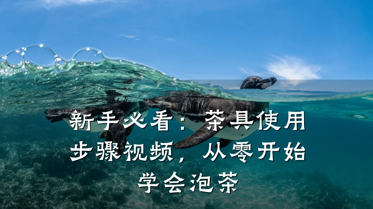 新手必看:茶具使用步骤视频,从零开始学会泡茶