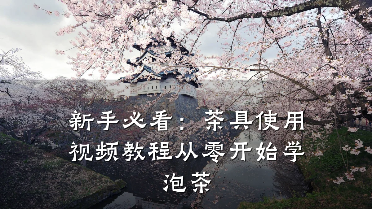 新手必看:茶具使用视频教程从零开始学泡茶