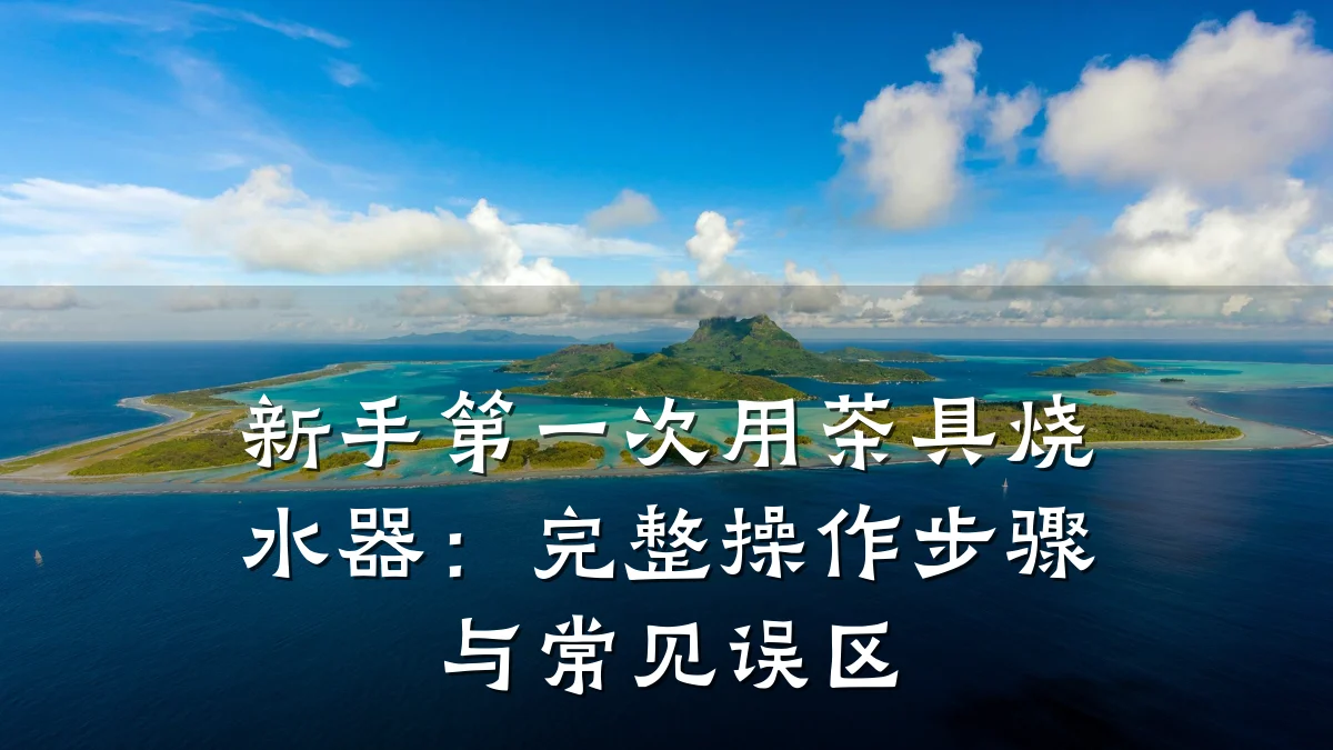 新手第一次用茶具烧水器:完整操作步骤与常见误区