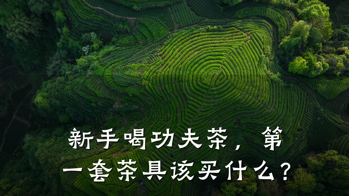 新手喝功夫茶，第一套茶具该买什么？