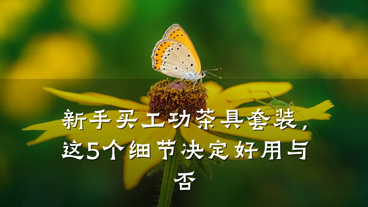 新手买工功茶具套装,这5个细节决定好用与否
