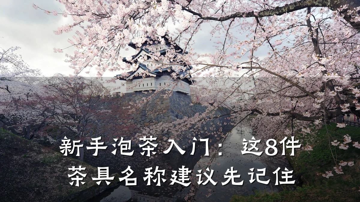 新手泡茶入门:这8件茶具名称建议先记住