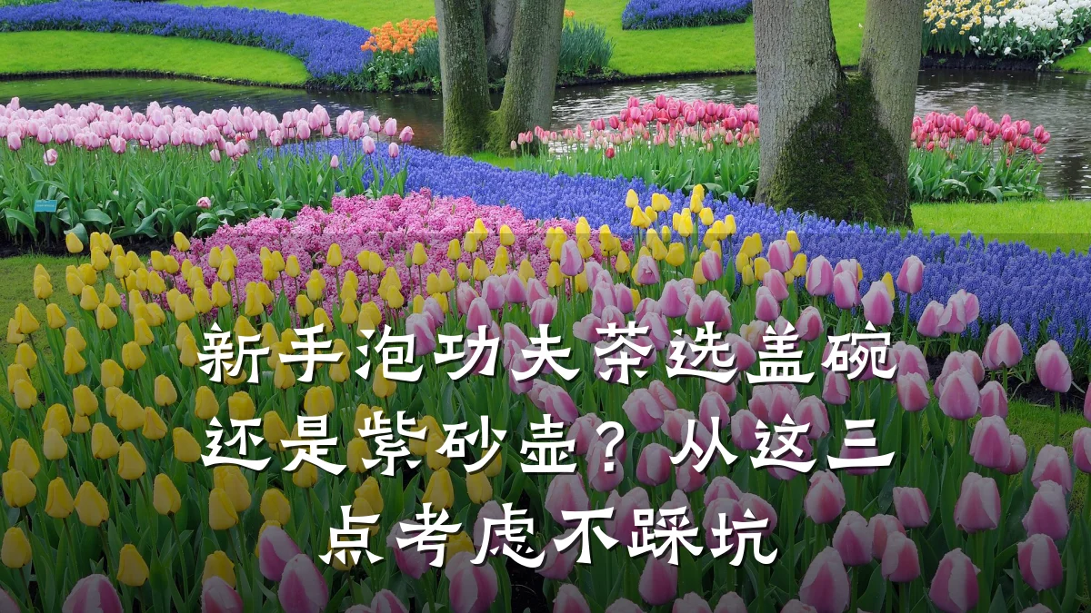 新手泡功夫茶选盖碗还是紫砂壶？从这三点考虑不踩坑