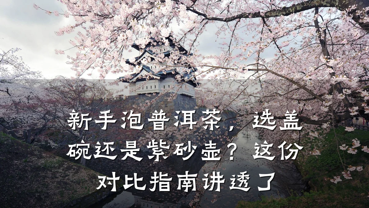 新手泡普洱茶，选盖碗还是紫砂壶？这份对比指南讲透了