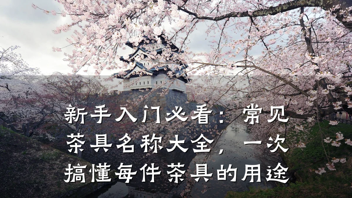 新手入门必看:常见茶具名称大全,一次搞懂每件茶具的用途